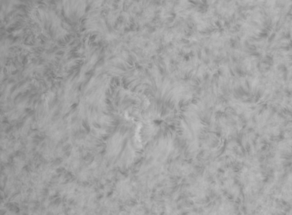 images/stories/2011-07-09-at-14-09-to-14-25ut.gif