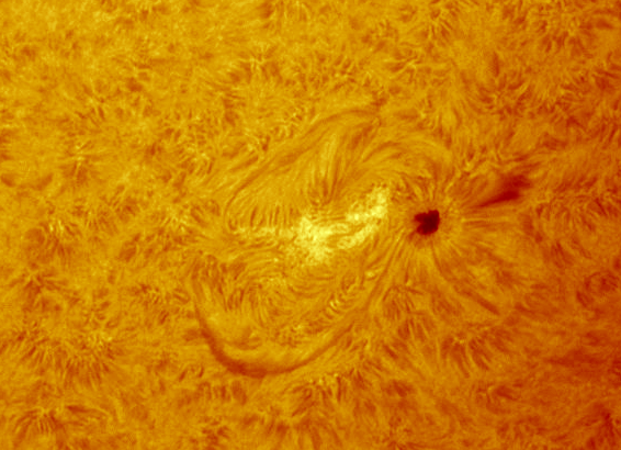 images/stories/2011-07-15-at-11-29-to-12-05ut-animated-coloured-contrasted.gif