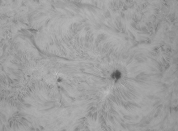 images/stories/2011-07-30-at-15-29-to-15-55ut-bw.gif