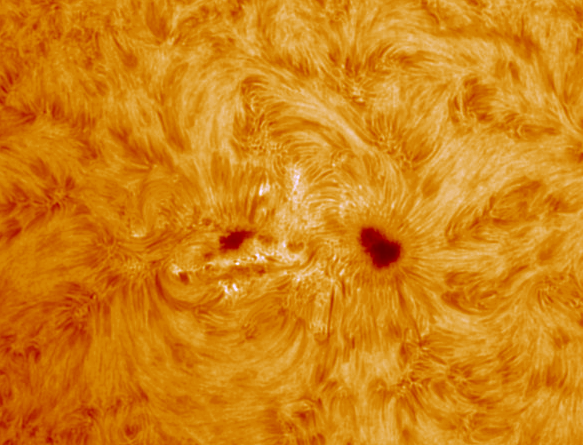 images/stories/2011-08-03-at-09-58-56-to-10-05ut-coloured.gif