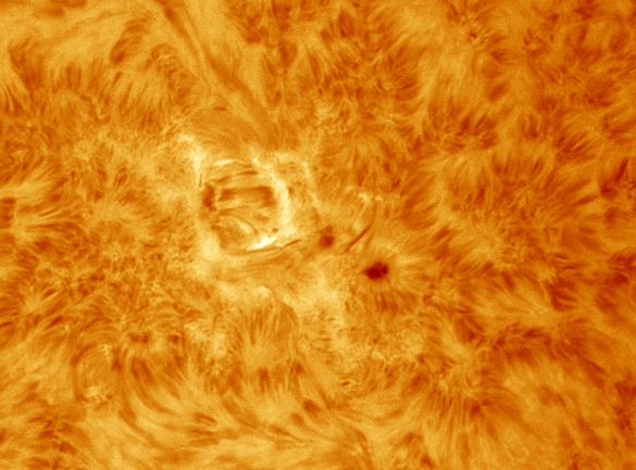 images/stories/2011-08-22-at-10-31-to-12-14ut-coloured.gif