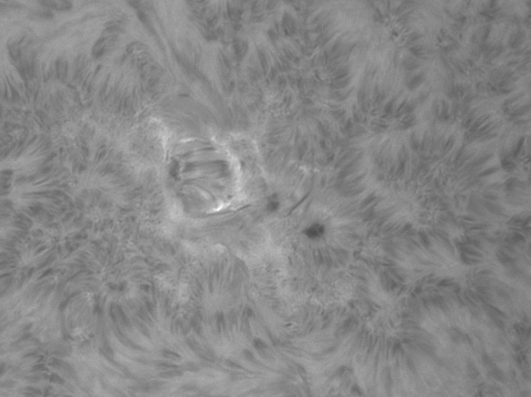 images/stories/2011-08-22-at-10-31-to-12-14ut.gif