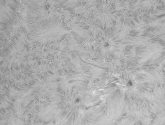 images/stories/2011-09-01-at-10-03-to-10-36ut-bw.gif