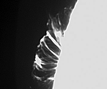 images/stories/od1-to-od11-ani.gif images/stories/od1-to-od11-ani.gif