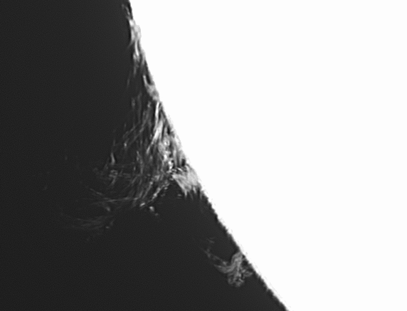 images/stories/video0004-11-06-16-08-04-33rgif.gif images/stories/video0004-11-06-16-08-04-33rgif.gif