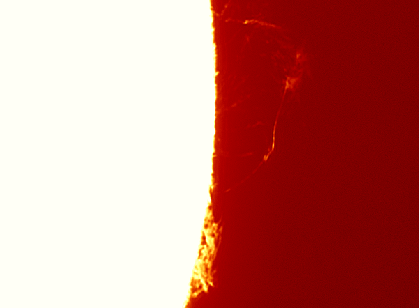 images/stories/video0139-11-06-30-09-36-14r-x-7-coloured.gif images/stories/video0139-11-06-30-09-36-14r-x-7-coloured.gif